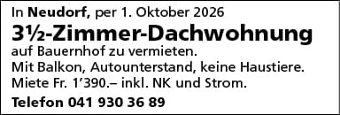 3.5 Zi Dachwohnung, Neudorf
