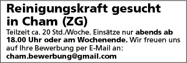 Reinigungskraft