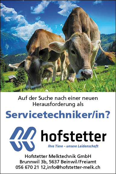 Servicetechniker/in