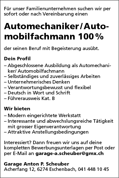 Automechaniker/Automobilfachmann 100%