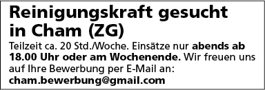 Reinigungskraft
